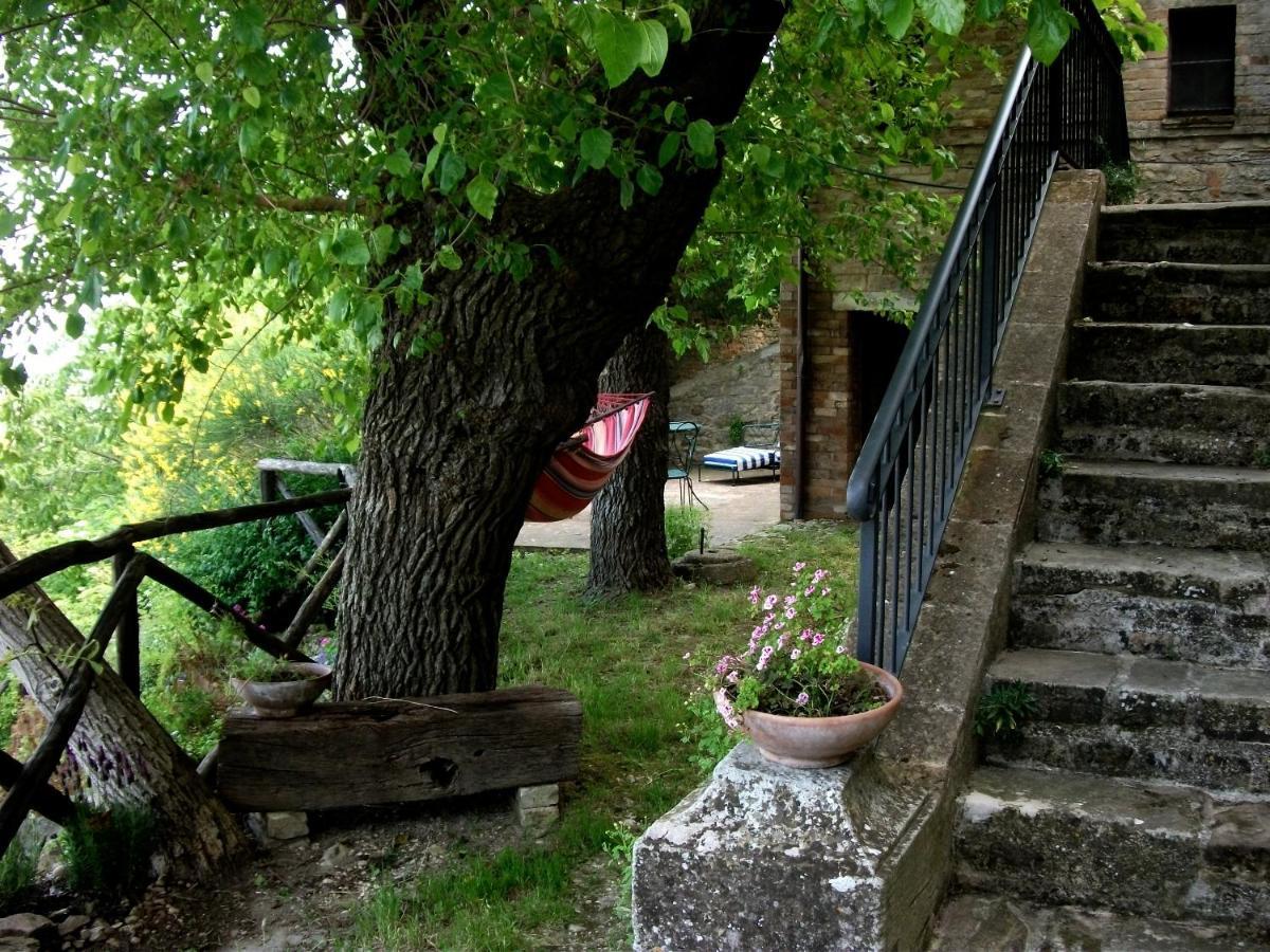 La Rosa Scarlatta Monterubbiano Esterno foto